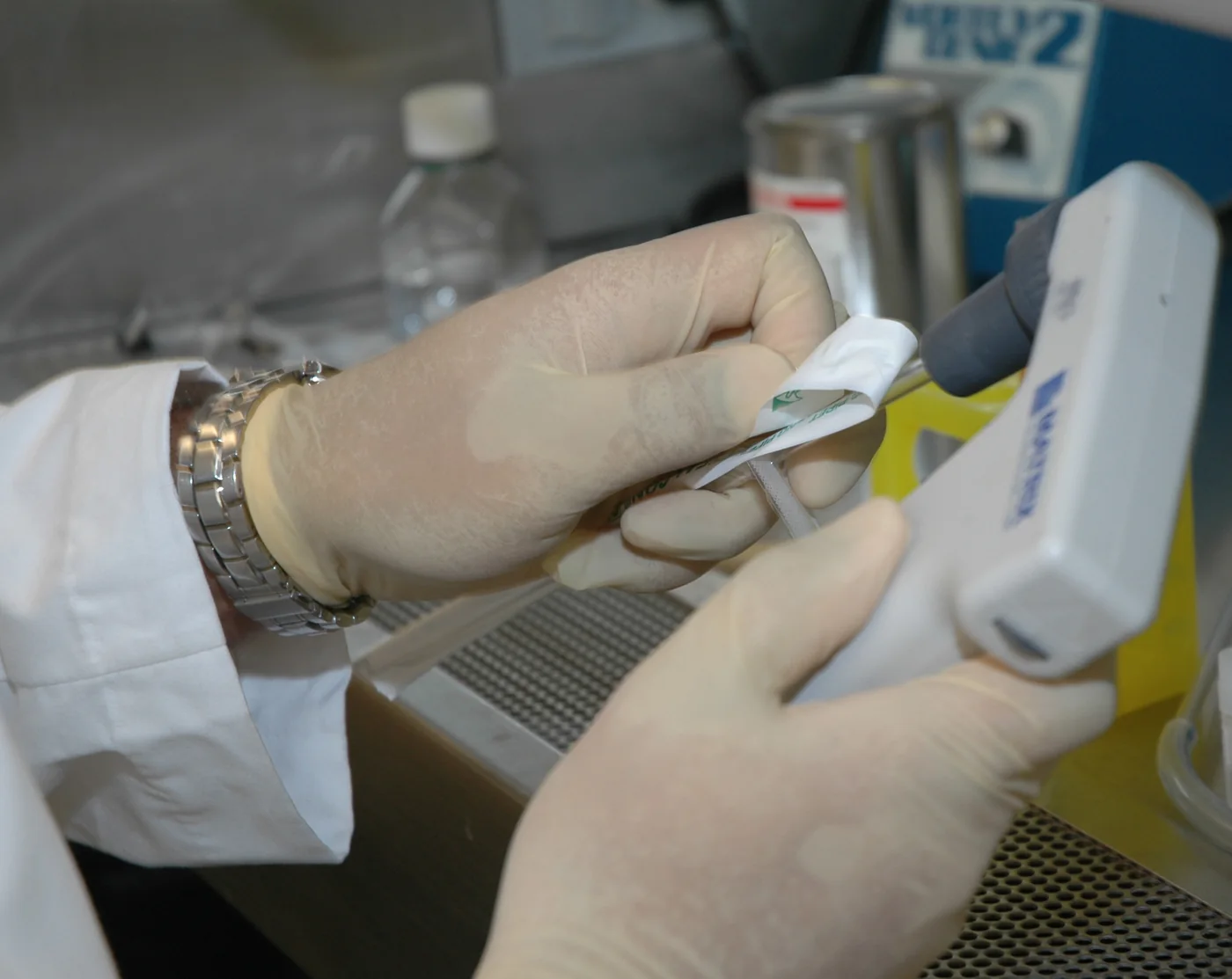 Handschuhhände befestigen eine Pipette an einer Pipettierhilfe im Labor.